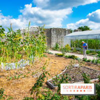 Le Château de Chambord fête ses 500 ans : le programme des festivités