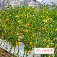 Le Château de Chambord fête ses 500 ans : le programme des festivités