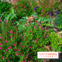 Le Château de Chambord fête ses 500 ans : le programme des festivités