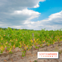 Le Château de Chambord fête ses 500 ans : le programme des festivités