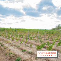 Le Château de Chambord fête ses 500 ans : le programme des festivités