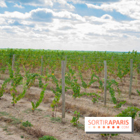 Le Château de Chambord fête ses 500 ans : le programme des festivités