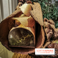 Bûche et création de Noël de Pierre Hermé 2019 et Galette des rois 2020