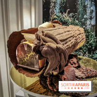 Bûche et création de Noël de Pierre Hermé 2019 et Galette des rois 2020