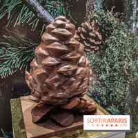 Bûche et création de Noël de Pierre Hermé 2019 et Galette des rois 2020