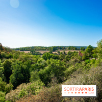 Le Château de Vault-de-Lugny - excursions dans la région
