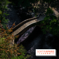 Le Château de Vault-de-Lugny - excursions dans la région