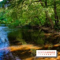 Le Château de Vault-de-Lugny - excursions dans la région