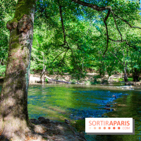 Le Château de Vault-de-Lugny - excursions dans la région