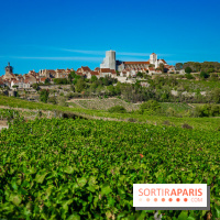 Le Château de Vault-de-Lugny - excursions dans la région