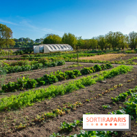 Le Château de Vault-de-Lugny, un écrin royal à deux heures de Paris