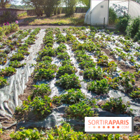 Le Château de Vault-de-Lugny, un écrin royal à deux heures de Paris