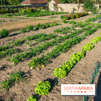 Le Château de Vault-de-Lugny, un écrin royal à deux heures de Paris
