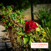 Le Château de Vault-de-Lugny, un écrin royal à deux heures de Paris