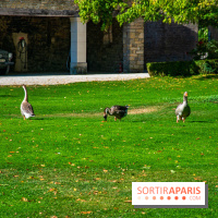 Le Château de Vault-de-Lugny, un écrin royal à deux heures de Paris