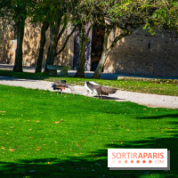 Le Château de Vault-de-Lugny, un écrin royal à deux heures de Paris