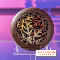 Les Bûches de Noël de la Maison du Chocolat, les photos