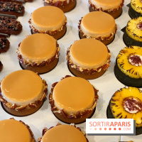 The French Bastards - rentrée 2019