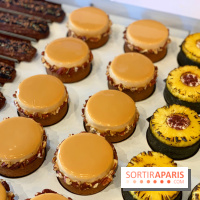 The French Bastards - rentrée 2019