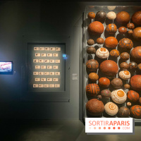 L'exposition des 20 ans du Musée du Quai Branly