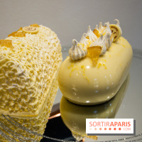 Bûches de Noël 2019 by Hugo & Victor, les photos