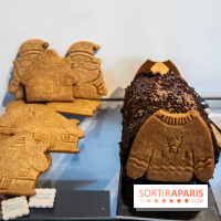 Bûche de Noël 2019 et galette des rois 2020 by Benoit Castel, les photos