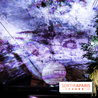 Bar le Scilicet, les photos