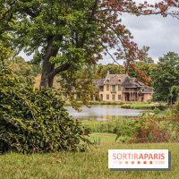 Le parcours des Arbres Admirables dans le domaine du château de Versailles