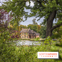 Le parcours des Arbres Admirables dans le domaine du château de Versailles