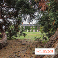 Le parcours des Arbres Admirables dans le domaine du château de Versailles