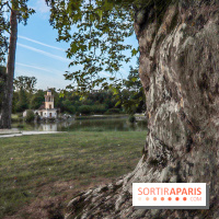 Le parcours des Arbres Admirables dans le domaine du château de Versailles
