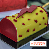 Les Bûches de Noël 2019 de Christophe Michalak