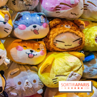 Paris Manga et Sci-Fi Show octobre 2019, programme et animations