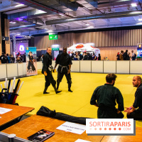 Paris Manga et Sci-Fi Show octobre 2019, programme et animations