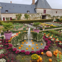 Le Jardin de l'Automne du Château de Cheverny