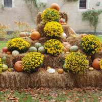 Le Jardin de l'Automne du Château de Cheverny