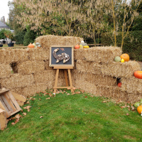 Le Jardin de l'Automne du Château de Cheverny