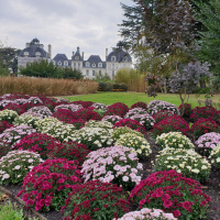 Le Jardin de l'Automne du Château de Cheverny