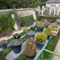 Le Jardin de l'Automne du Château de Cheverny
