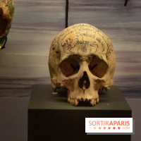 Vampires, de Dracula à Buffy, l'exposition à la Cinémathèque