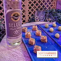 Les Ambassadeurs, le nouveau bar du Crillon