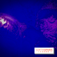 Peur sur le Parc 2019, Halloween au Parc Astérix les photos