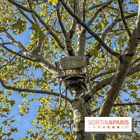 Exposition FIAC au Jardin des Tuileries 2019