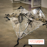 Futur, Ancien, Fugitif, l'exposition au Palais de Tokyo - nos photos