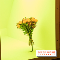 Futur, Ancien, Fugitif, l'exposition au Palais de Tokyo - nos photos