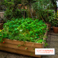 L'Hôtel des Grands Boulevards inaugure son potager suspendu