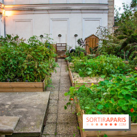 L'Hôtel des Grands Boulevards inaugure son potager suspendu