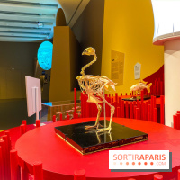 Je mange donc je suis au Musée de l'Homme