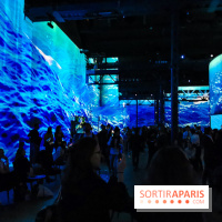 Immersive Art Festival 2019 à L'Atelier des Lumières à Paris