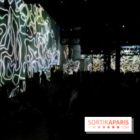 Immersive Art Festival 2019 à L'Atelier des Lumières à Paris